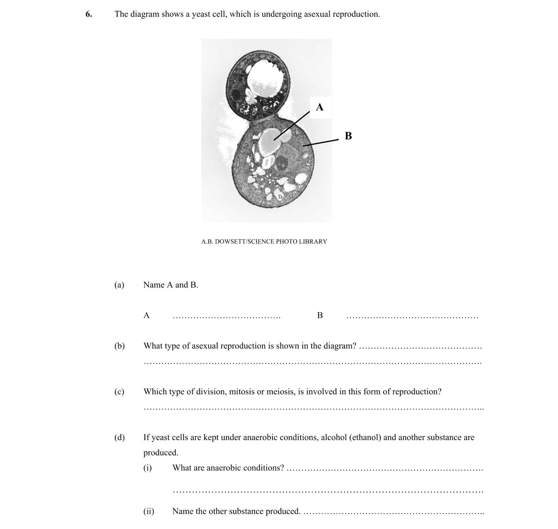 Bacteria Viruses Fungi Protista | Biology | Examly