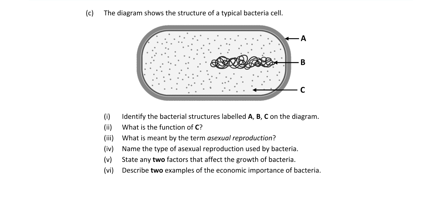 Bacteria Viruses Fungi Protista | Biology | Examly