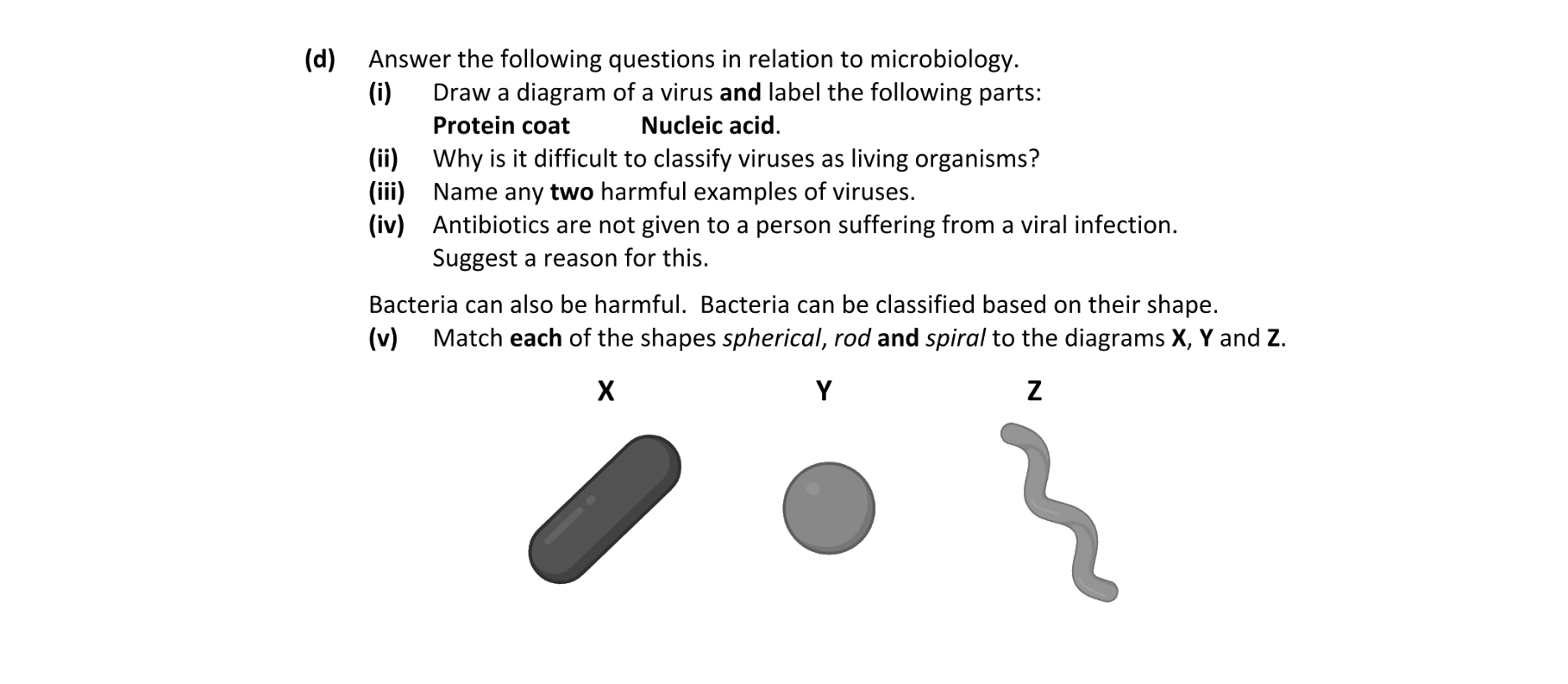 Bacteria Viruses Fungi Protista | Biology | Examly