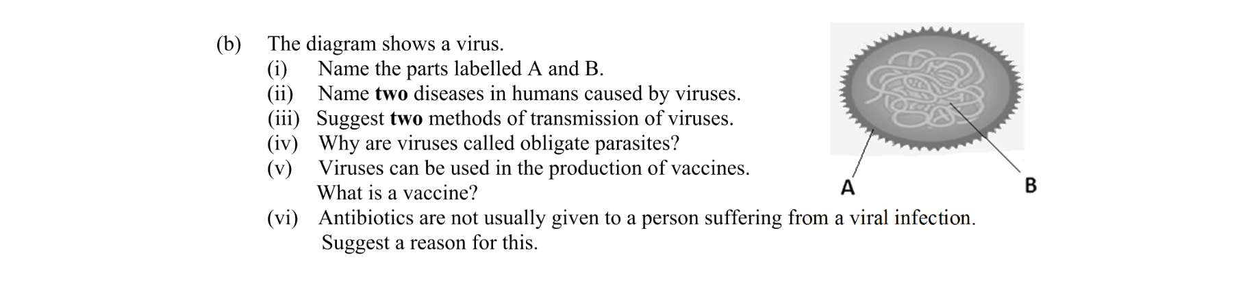 Bacteria Viruses Fungi Protista | Biology | Examly