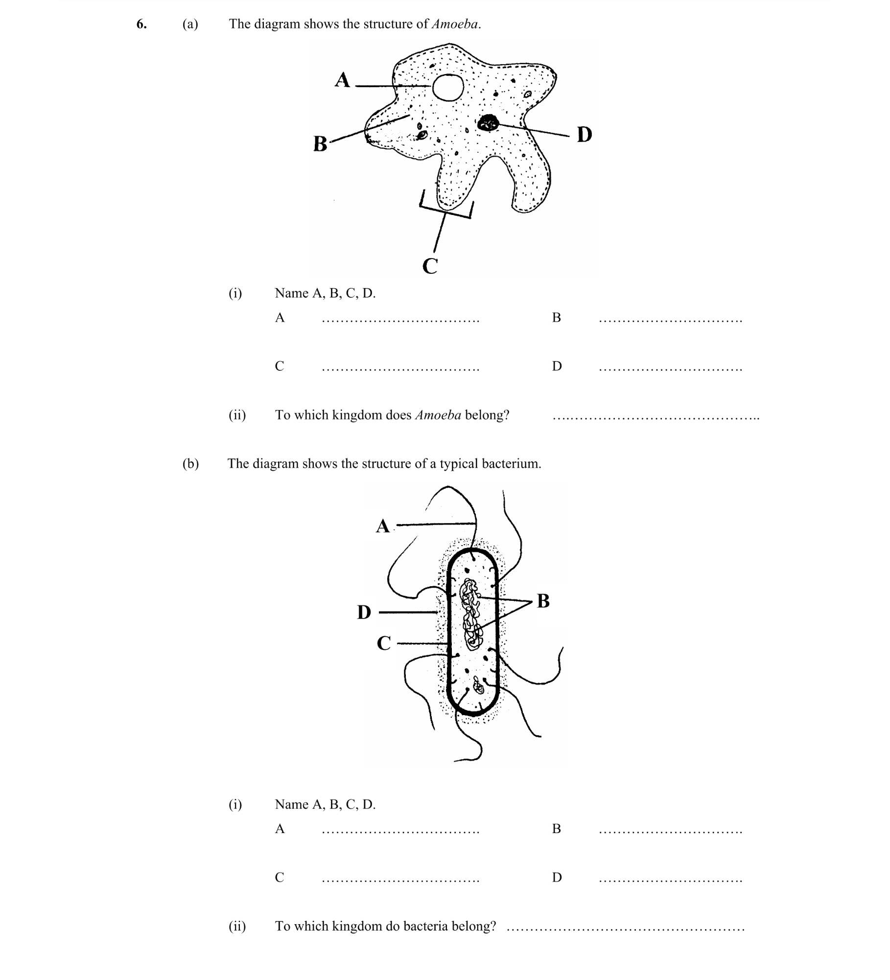Bacteria Viruses Fungi Protista | Biology | Examly