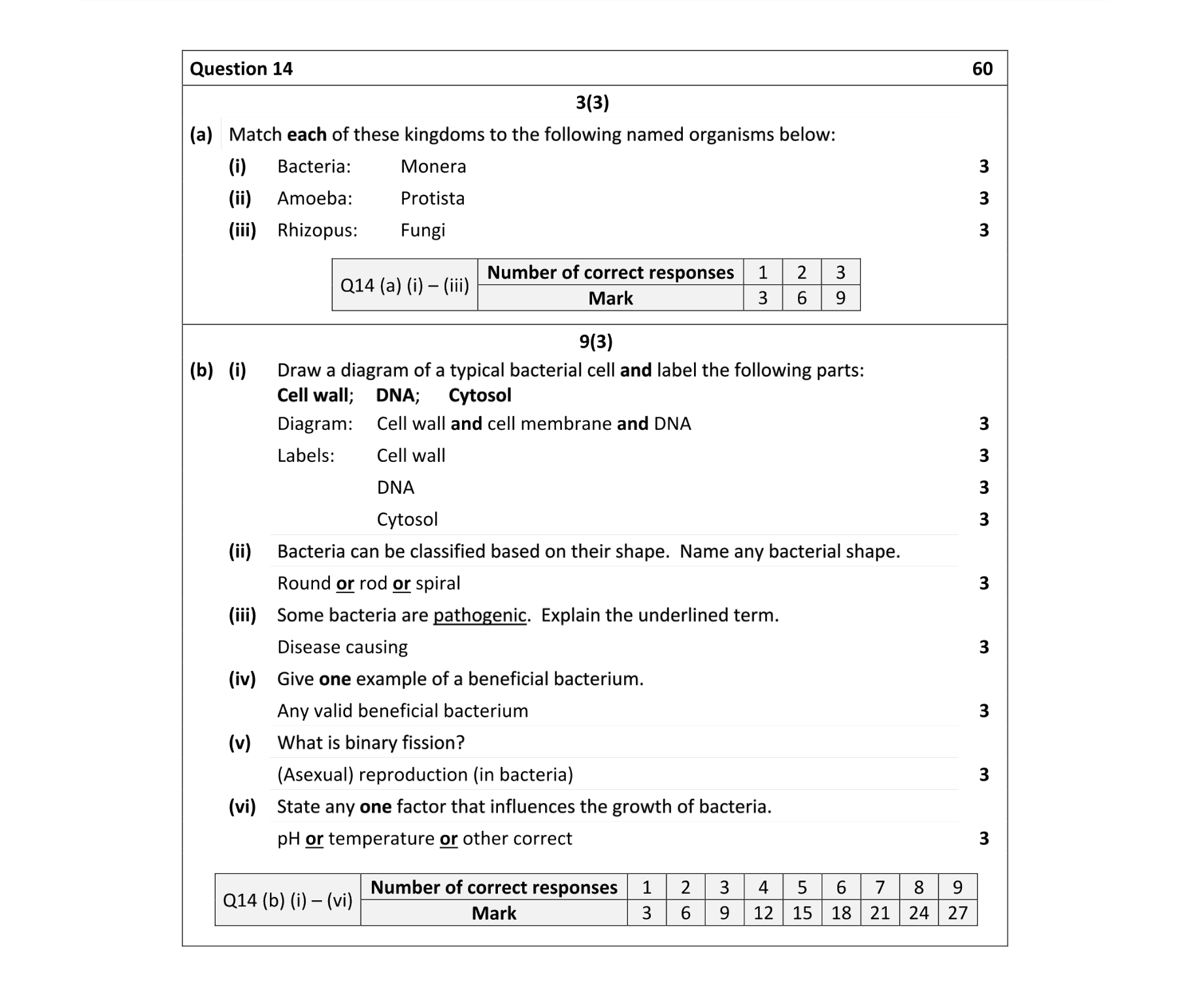 Bacteria Viruses Fungi Protista | Biology | Examly